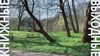 книжные выходные с фэнтези про драконов - книжный влог