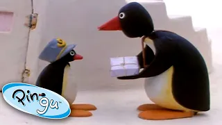 Pingu Delivers the Mail | Pingu Official | Cartoons for Kids