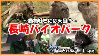 [Nagasaki Bio Park] Animal-Touch-No.1～Heavenly ministry for animal lovers!～