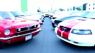 Mustang Fest Chihuahua 2015