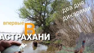 первый раз в Астрахани, крупной рыбы не было, но воблы половили 👍