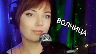 Волчица (кавер-версия)