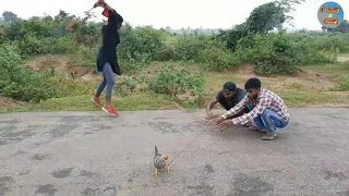 Village Funny Comedy  video By Desi Boys 2021 || Must Watch || By Funny4Gang || Episode 50