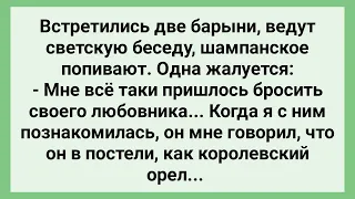 Любовник Барыни в Постели, как Королевский Орел! Сборник Свежих Смешных Жизненных Анекдотов!