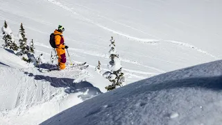 Tom Wallisch 20/21 Season Edit