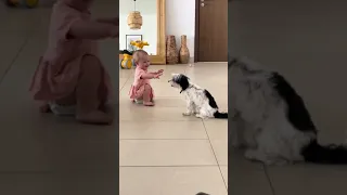 Baby and puppy are having the best time playing together!