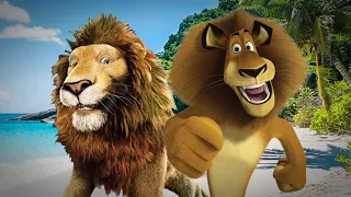 Alex the Lion vs Samson the Lion. Epic Battles of Cartoons