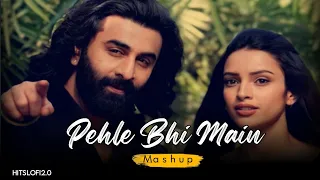 Pehle Bhi Main Mashup | Vishal Mishra | Best of 2024 Mashup, | Animal Songs |Hits Lofi