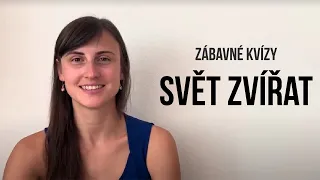 Zábavný kvíz 1 - svět zvířat