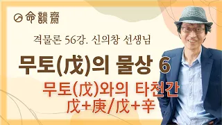 명담재 신의창선생님 격물론 56 |무토戊와의 타천간 戊+庚| 戊+辛