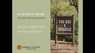 Attachment Trauma and the Nervous System