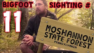 Bigfoot Campfire Story #11 - Moshannon State Forest, PA