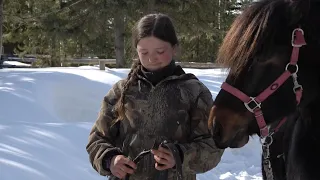 The Little Iron Horse Goes Logging