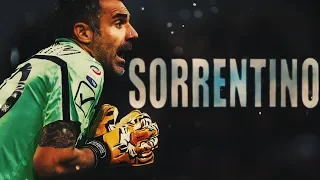 Stefano Sorrentino - Best Saves 2018/2019 - Serie A Best Goalkeeper saves