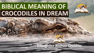 Biblical Meaning of CROCODILES (Alligators) in Dream -  Dream About Crocodiles