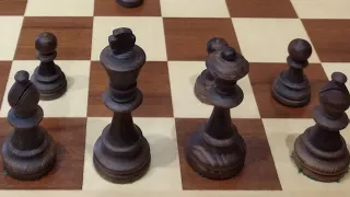 Самая известная шахматная ошибка!  Ловим Ферзя, Ладью и ставим мат. Шахматы