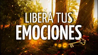 ✨Meditación LIBERAR tus EMOCIONES | ELEVA la VIBRACIÓN para ser FELIZ