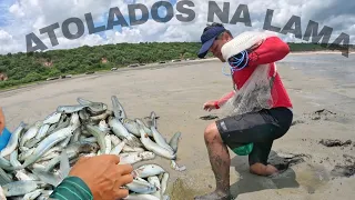 PESCANDO SAUNINHAS NO MEIO DA LAMA - MUITA AVENTURA E DIVERSÃO!