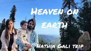 Heaven on earth😍| Nathia Gali trip| Mother’s Day special vlog| monkey point 🐒