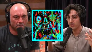 Joe Rogan and Hamilton Morris: Cannabis Benefits, Psychedelic Bad Trips | Joe Rogan Experience