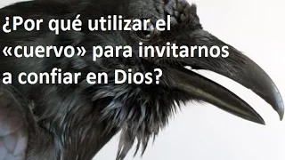 ¿Cuervos o comerciantes? La realidad del  texto hebreo de 1 Reyes 17.4 y 6 Por Héctor B. Olea C.