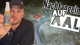 Wird es Das Aal Produkt 2024 | Nachtangeln mit Eel Catcher 2vs2 #angeln #aal #eel #fishing #night