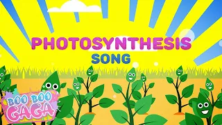Learn About Photosynthesis/Photosynthesis Song for Kids [by Boo Boo Gaga] #booboogaga