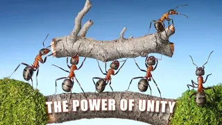 Best examples of unity
