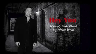 Adrian Sorlea-Hey You (Cover) Pink Floyd