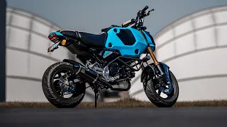 1,000 MILE REVIEW ON 2024 HONDA GROM! (Should you consider one? 🤔)