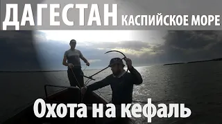 Вытягиваем кефаль сетью. Каспийское море, Дагестан.