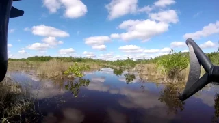 Deep into the Everglades