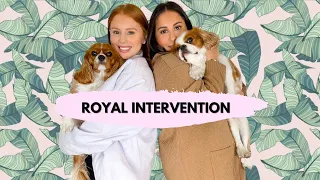 Royal Intervention: The Morning Toast Friday, September 30th, 2022