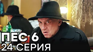 Сериал ПЕС 6 - 6 сезон - 24 серия - ВСЕ СЕРИИ смотреть онлайн | СЕРИАЛЫ ICTV