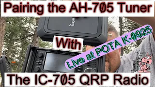 Pairing the AH-705 Tuner with the IC-705 QRP Radio. Live at POTA K-0925.