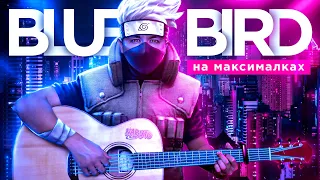 Blue Bird - сложная цель достигнута