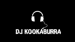 Burrnin' - DJ Kookaburra
