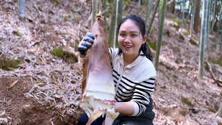 Dig two big bags of bamboo shoots and dry them in the sun.They are so delicious.