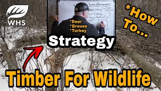 How To Wildlife Timber Management
