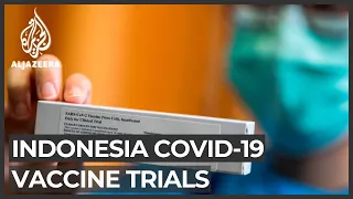 Indonesia: Testing for Chinese vaccine underway as COVID-19 cases rise