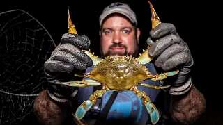 Catching Blue Crabs at Night | Living Off The Land and Sea #2