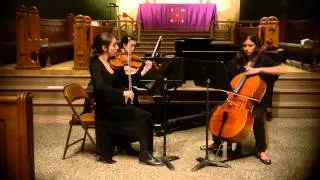 Felix Mendelssohn, Piano Trio No. 1 in D minor, Op. 49 (Movement 1)