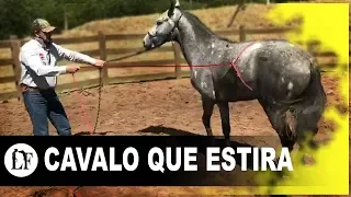 SEU CAVALO TEM O COSTUME DE ESTIRAR? | LEONARDO FEITOSA