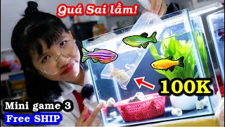 Sai Lầm khi cầm 100K đi mua cá vào mùa dịch ?! Khuyến mãi Free SHIP  cá Betta Giống Toàn Quốc!