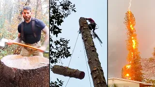 Humans vs Nature - Tree Lopping (Part 3)