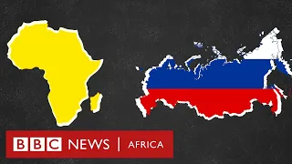 Russia-Africa summit: What can we expect? BBC Africa