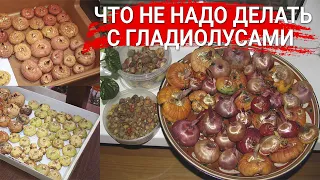 Что не надо делать с гладиолусами