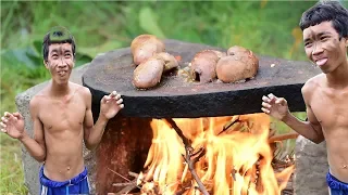 Primitive Technology -  Grilled pigs kidney on a rock -  eating delicious
