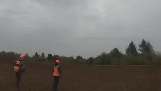 Young hunters enjoy free pheasant hunting