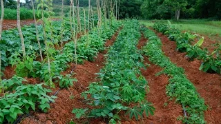 Huerto Agroecológico Modelo- Curso de Productores Agroecológicos